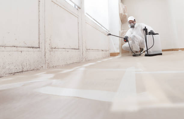 24/7 Emergency Attic Mold Removal experts in Hendersonville, TN